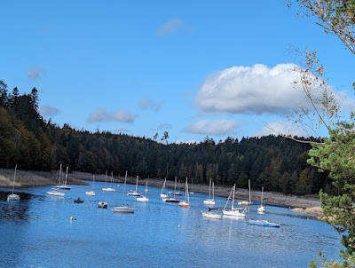 Lac de Pierre Percée à Pierre-Percée