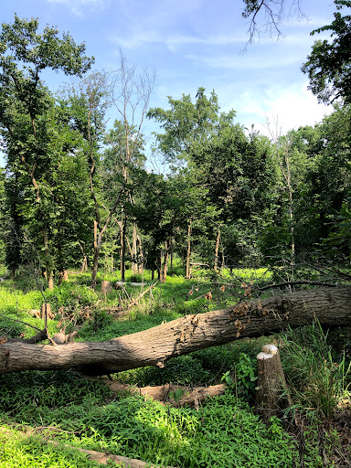 Nature Preserve «Messenger Woods Nature Preserve», reviews and photos, 13800 W Bruce Rd, Homer Glen, IL 60491, USA