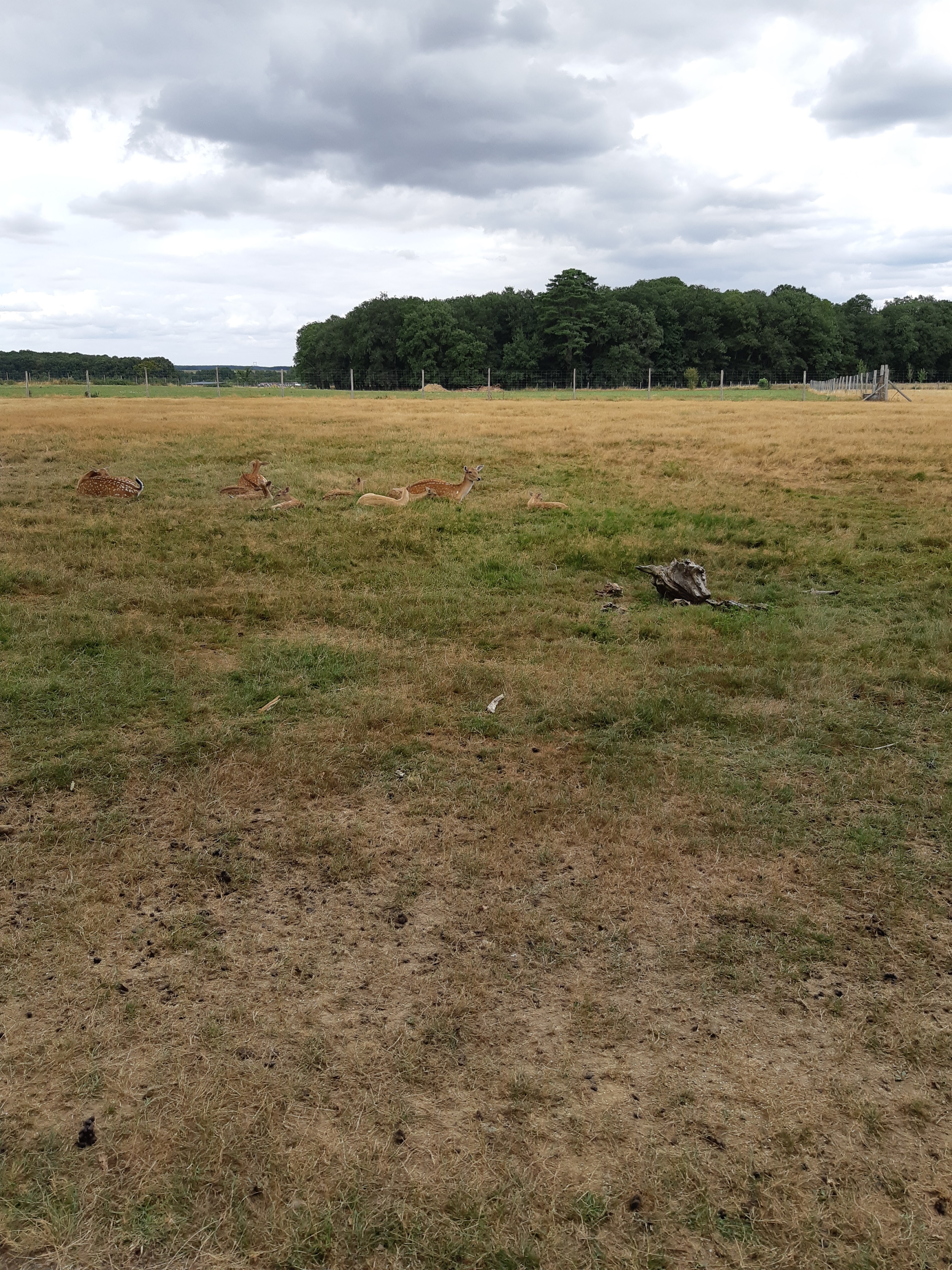 Photo n° 17 de l'avis de Carla.a fait le 10/08/2018 à 15:54