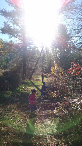 Museum «Dorflinger Glass Museum», reviews and photos, 37 Suydam Dr, White Mills, PA 18473, USA