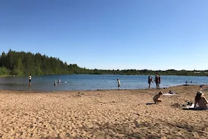 Jäälin pit (beach) image