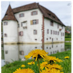 Photo n°6 de l'avis de Sanne.a fait le 17/02/2021 à 17:37 sur le  Wasserschloss Inzlingen à Inzlingen