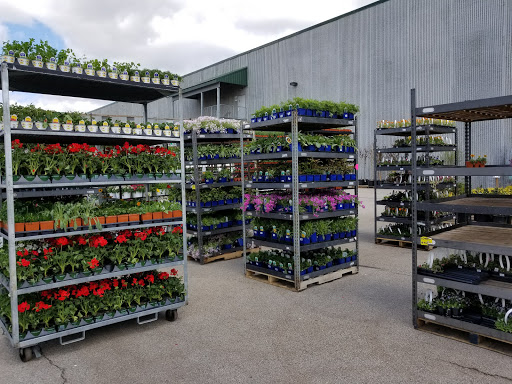 Home Improvement Store «Menards», reviews and photos, 3215 W North Ave, Melrose Park, IL 60160, USA