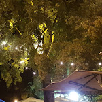 Photo n°1 de l'avis de Caterina.i fait le 14/07/2018 à 13:09 sur le  Forte Marghera à Venice