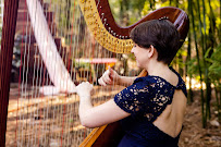 Harpist Elizabeth Louise - Photo 7 - Car repair in , Deltona
