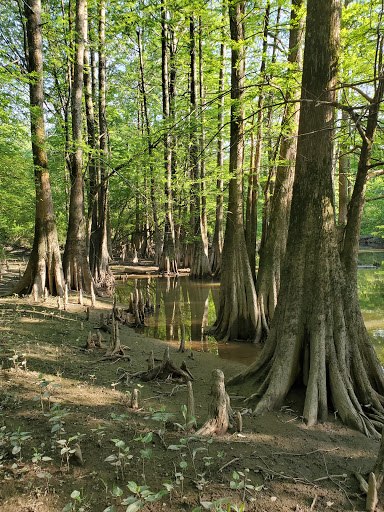 Park «Interstate Park», reviews and photos, 3900 S Arch St, Little Rock, AR 72206, USA