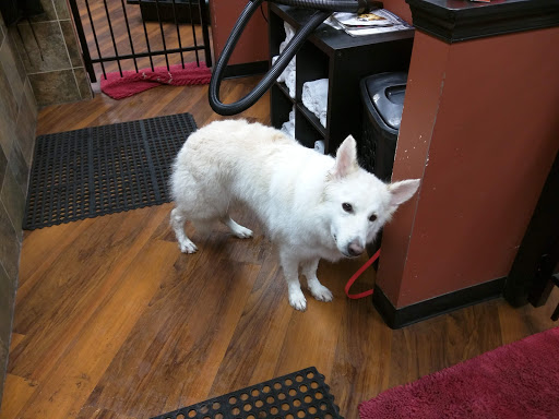 Pet Store «Pet Valu», reviews and photos, 190 Forty Foot Rd, Hatfield, PA 19440, USA