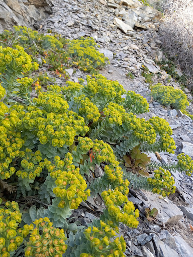 Bakery «Krispy Kreme Doughnuts», reviews and photos, 417 W University Pkwy, Orem, UT 84057, USA