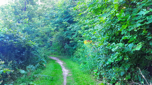 Park «French Regional Park», reviews and photos, 12605 Rockford Rd, Plymouth, MN 55441, USA