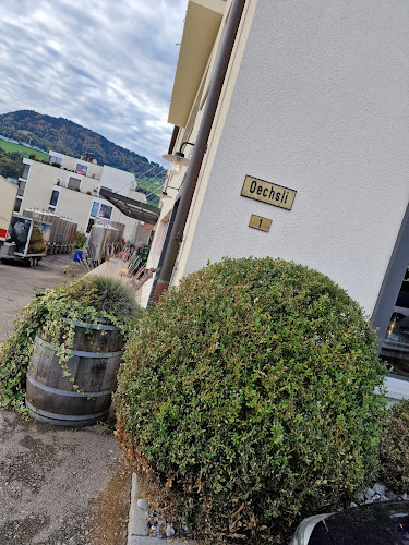 Gebr. Kümin Weinbau und Weinhandel AG - Freienbach