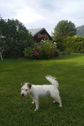 Cottage Chambre d'hôtes Chambre d'Hôtes 74120 Megève