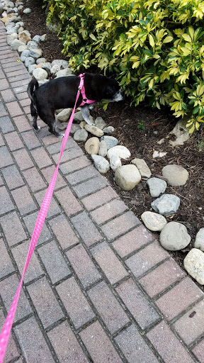 Golf Club «Shingle Creek Golf Club», reviews and photos, 9939 Universal Blvd, Orlando, FL 32819, USA