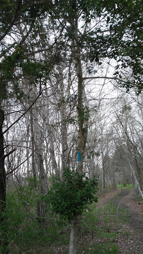 State Park «Nasketucket Bay State Reservation», reviews and photos, Brandt Island Rd,, Mattapoisett, MA 02739, USA