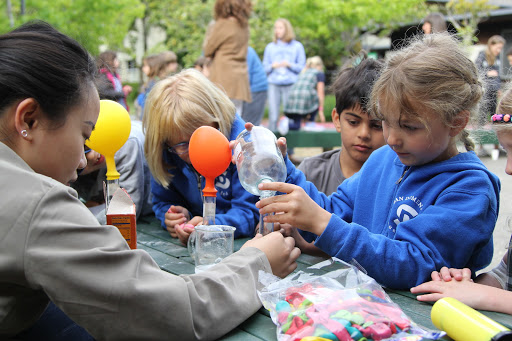 High School «San Domenico School», reviews and photos