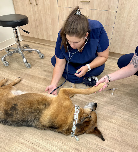 Petfolk Veterinary & Urgent Care - Ballantyne image