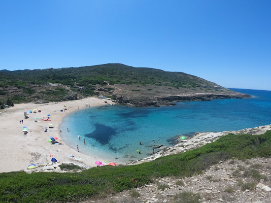 Porto Palmas
