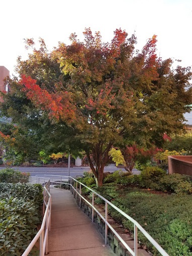 Salem Health - Hospital: Emergency Room