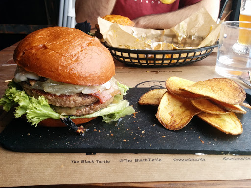 The Black Turtle - Alameda