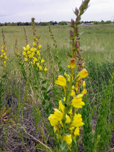 Park «Olympic Park», reviews and photos, 15501 E Yale Ave, Aurora, CO 80013, USA
