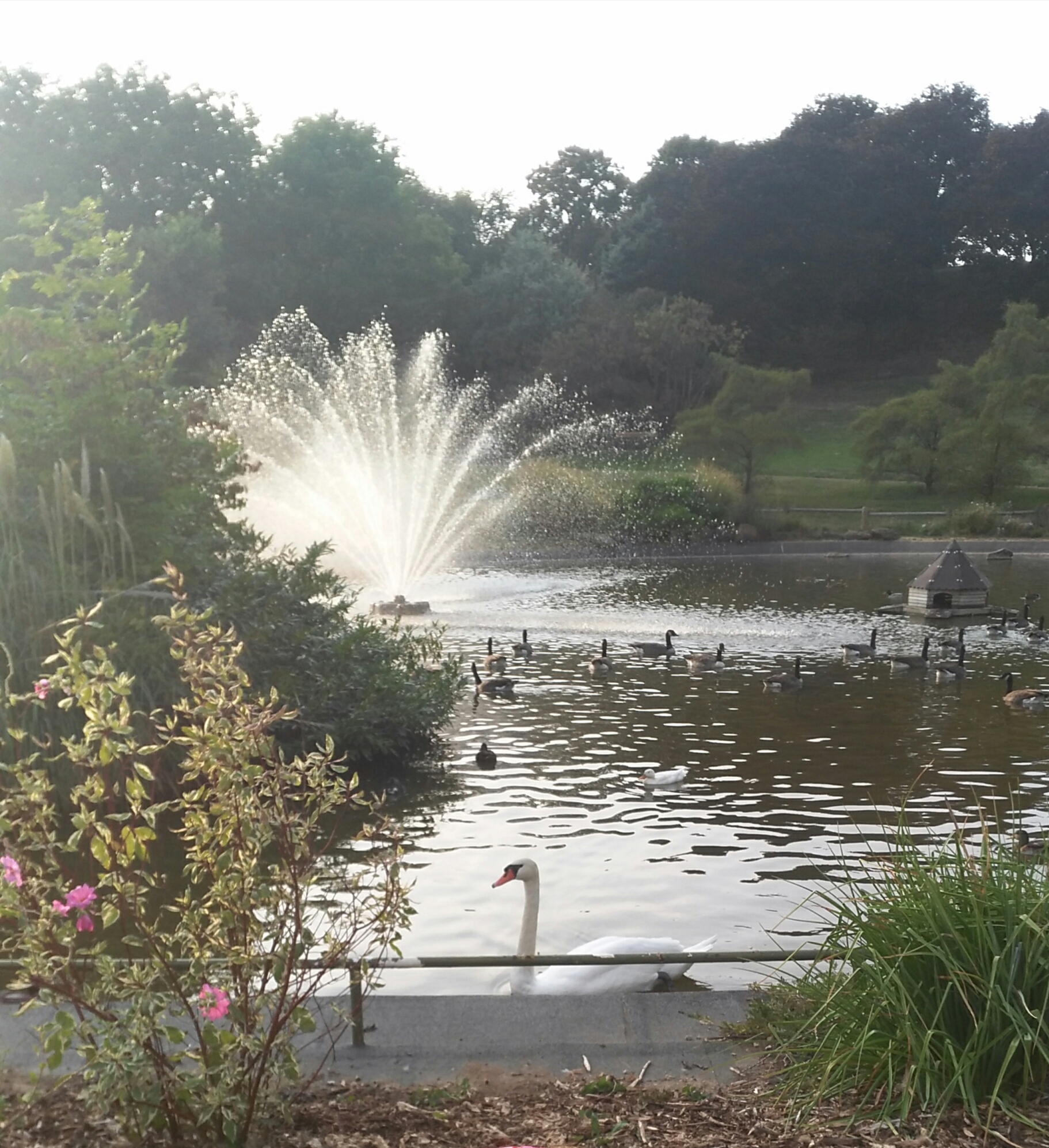Photo n° 6 de l'avis de Y. fait le 05/09/2018 à 17:25