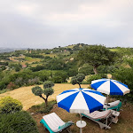 Photo n°6 de l'avis de carolien.e fait le 30/07/2021 à 09:01 sur le  Beautiful Mansion in Vallefoglia With Swimming Pool à Vallefoglia