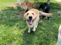 Magnolia Hill Pet Resort - Photo 8 - Car repair in Bethlehem, CT, Waterbury