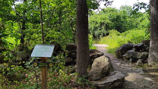 Park «Mary Cummings Park», reviews and photos, 25 Blanchard Rd, Burlington, MA 01803, USA