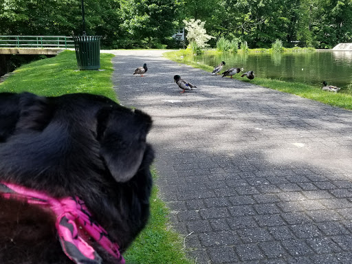 Park «Grover Cleveland Park», reviews and photos, Brookside Ave & Runnymede Rd, Essex Fells, NJ 07021, USA