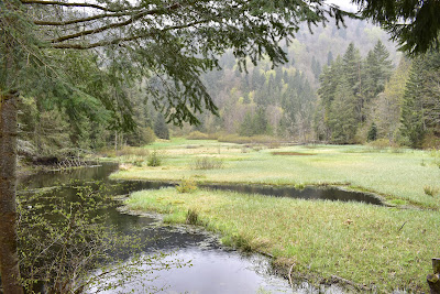 Étang du Devin à Lapoutroie