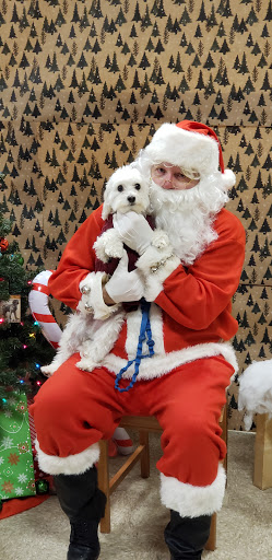 Pet Supply Store «PetSmart», reviews and photos, 3995 Welsh Rd, Willow Grove, PA 19090, USA