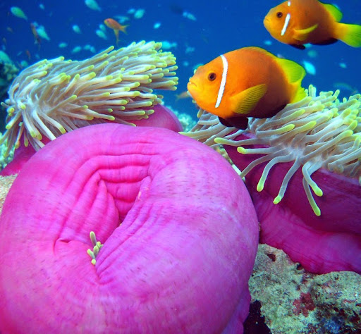 Dive Shop «Orbit Marine Sports Center Inc», reviews and photos, 3273 Fairfield Ave, Bridgeport, CT 06605, USA