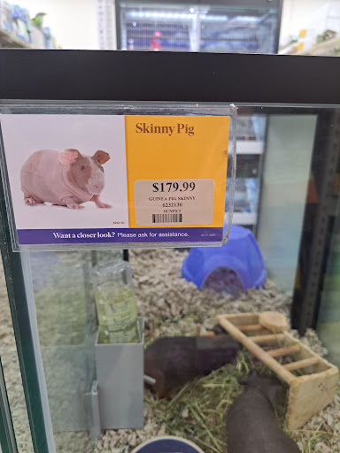 Pet Supply Store «Pet Supermarket», reviews and photos, 1746 E Silver Springs Blvd, Ocala, FL 34470, USA