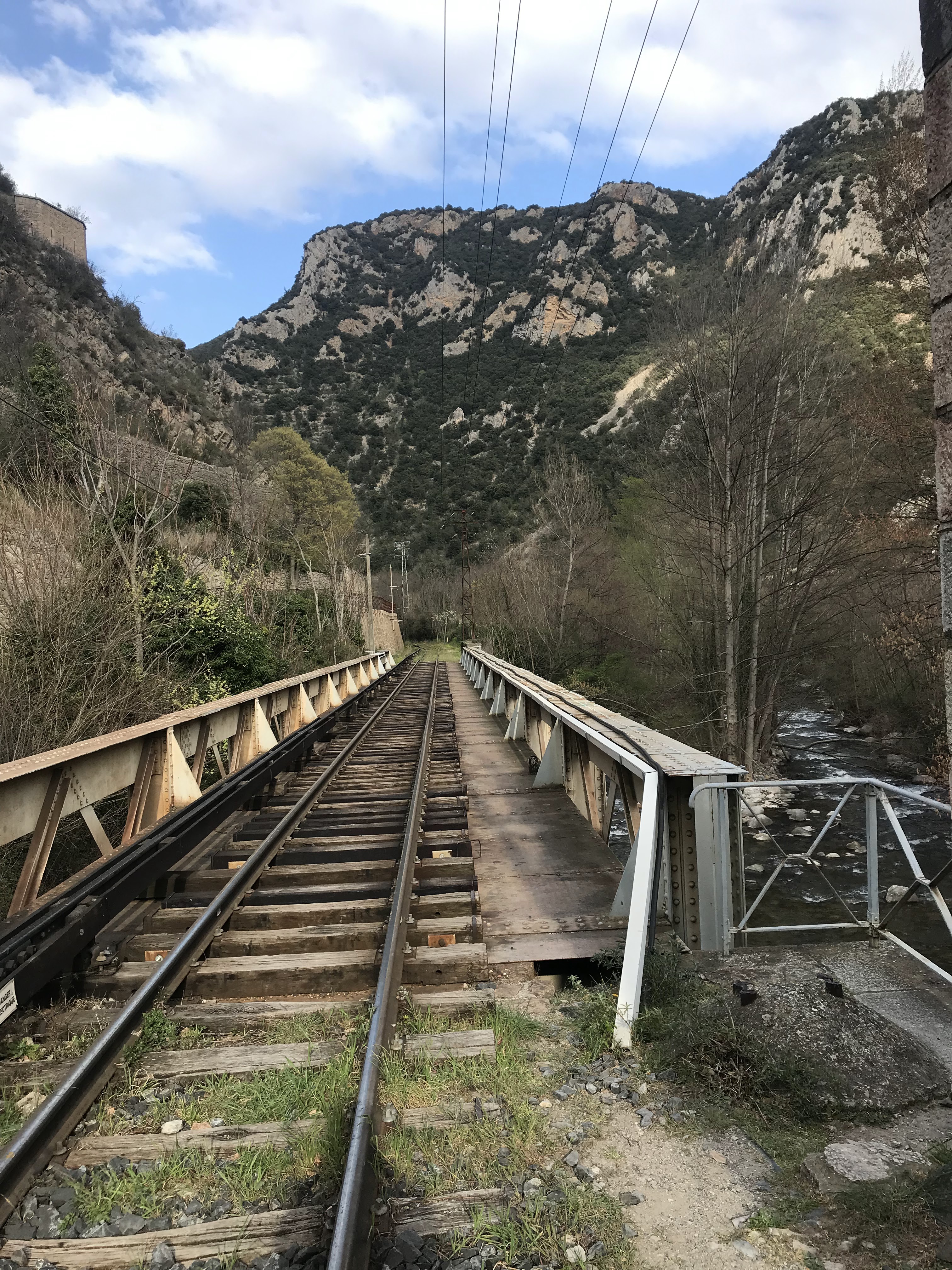 Photo n° 4 de l'avis de lamberton.e fait le 21/11/2019 à 01:07