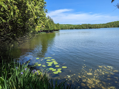 Little Lake Nature Preserve