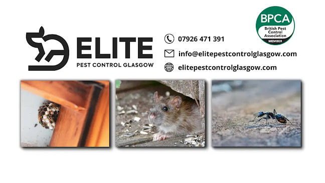 Elite Pest Control Glasgow - Pest control service