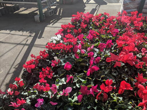 Hardware Store «Orchard Supply Hardware», reviews and photos, 2245 Gellert Blvd, South San Francisco, CA 94080, USA