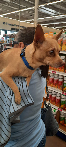 Discount Store «99 Cents Only Stores», reviews and photos, 3140 Stockton Hill Rd, Kingman, AZ 86401, USA