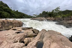 Perunthenaruvi Waterfalls image