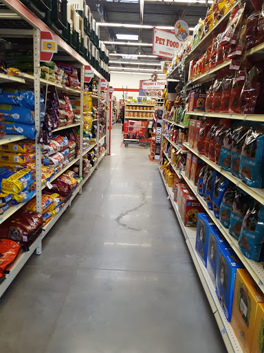 Home Improvement Store «Tractor Supply Co», reviews and photos, 1650 W Princeton Dr, Princeton, TX 75407, USA