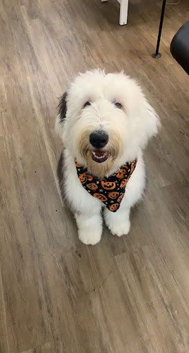 Beauty Salon «HM Spa and Salon», reviews and photos, 2605 6th Ave, Tacoma, WA 98406, USA