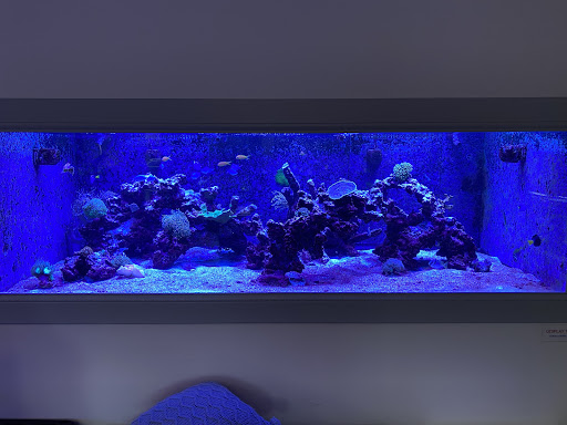 Tropical Fish Store «Old Town Aquarium», reviews and photos, 1538 N Wells St, Chicago, IL 60610, USA