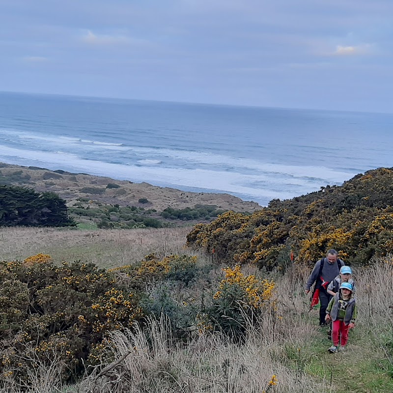 Highcliff Track Lookout Point