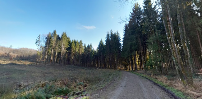 Rezensionen über Waldparkplatz Lebküchle in Rheinfelden - Parkhaus