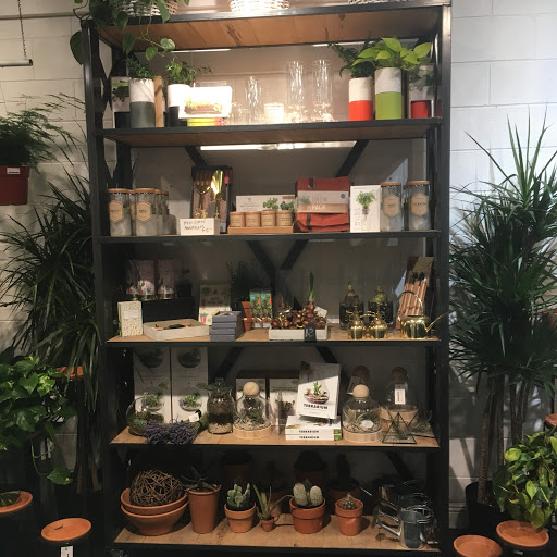 Florist «Green Fresh Florals», reviews and photos, 3785 Fourth Ave, San Diego, CA 92103, USA