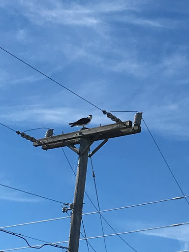 Boat Tour Agency «River Lilly Cruises», reviews and photos, 500 E Prima Vista Blvd, Port St Lucie, FL 34983, USA