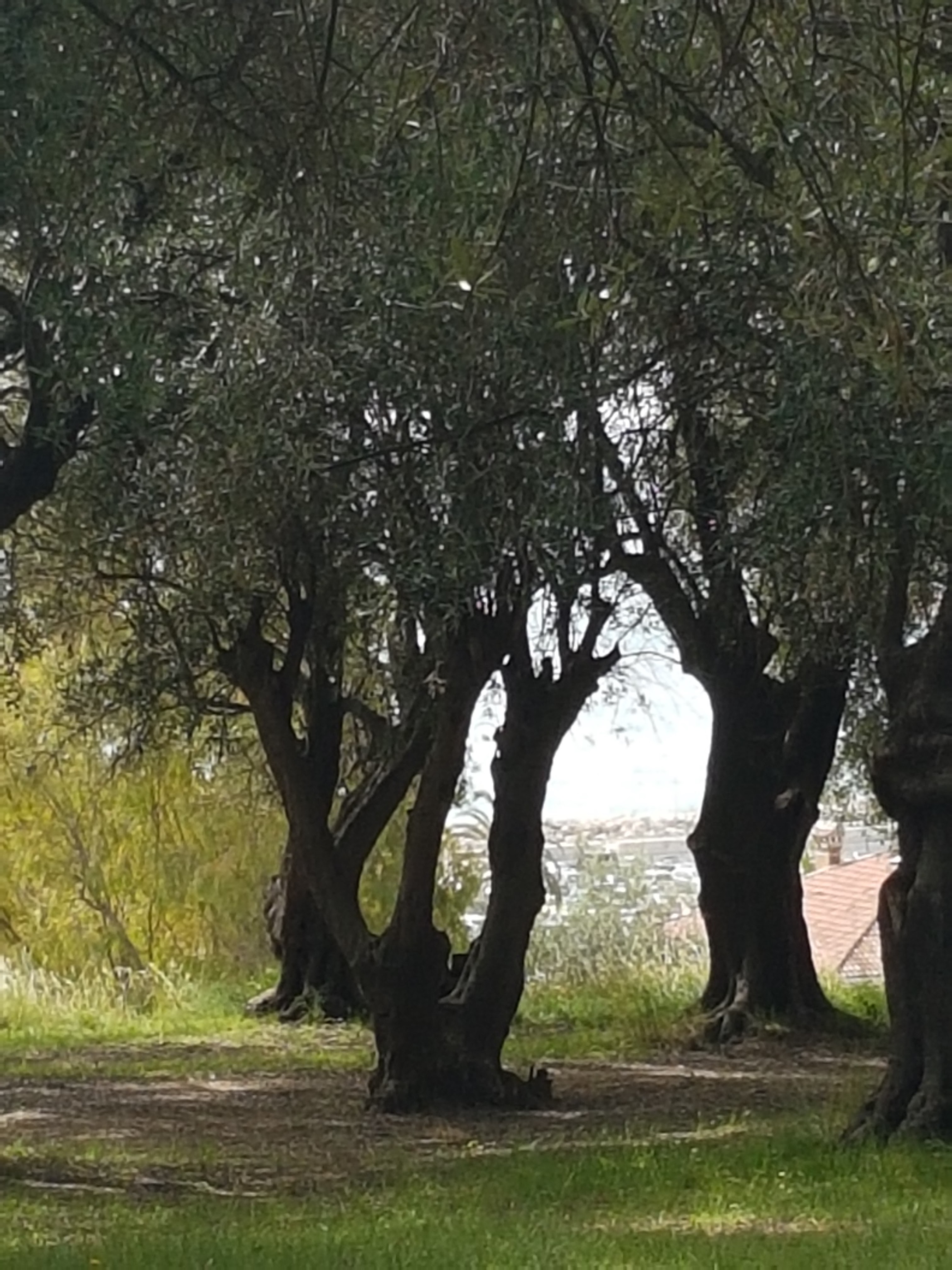 Photo n° 5 de l'avis de Sylvie.o fait le 23/04/2019 à 15:32