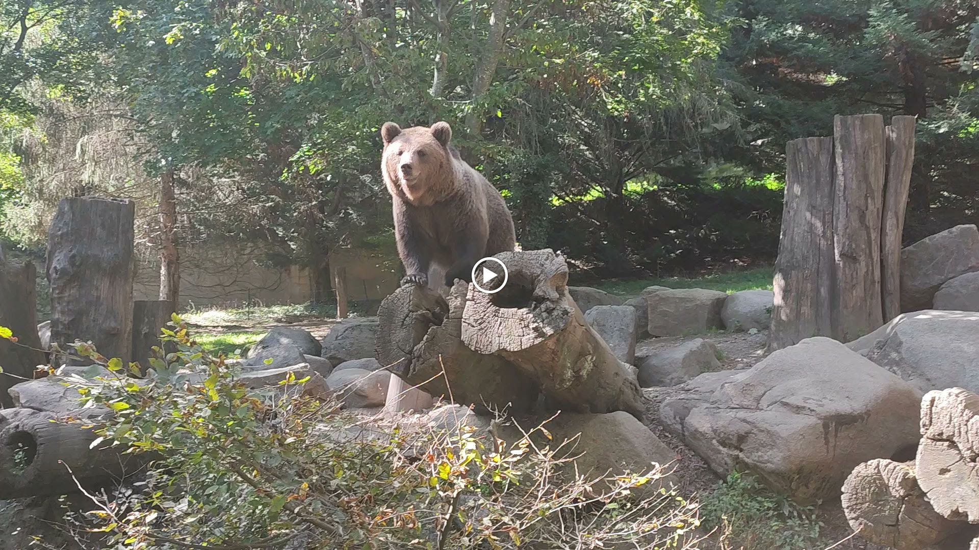 Photo n° 18 de l'avis de Thierry.i fait le 28/09/2023 à 17:40