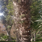 Photo n°1 de l'avis de Rachel. fait le 07/05/2023 à 07:04 sur le  Villa Igiea, a Rocco Forte Hotel à Palermo