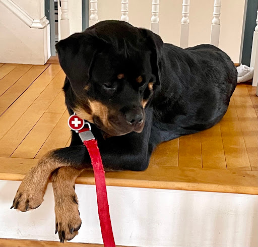 Pet Supply Store «Pet Supply Outlet», reviews and photos, 150 Spaulding Tpke, Portsmouth, NH 03801, USA