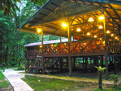 Kinabatangan Jungle Camp